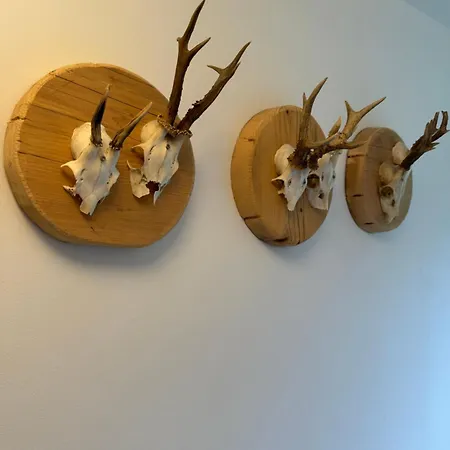 Der Gamsjaeger 3* Gosau