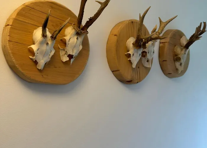 Der Gamsjaeger 3* Gosau